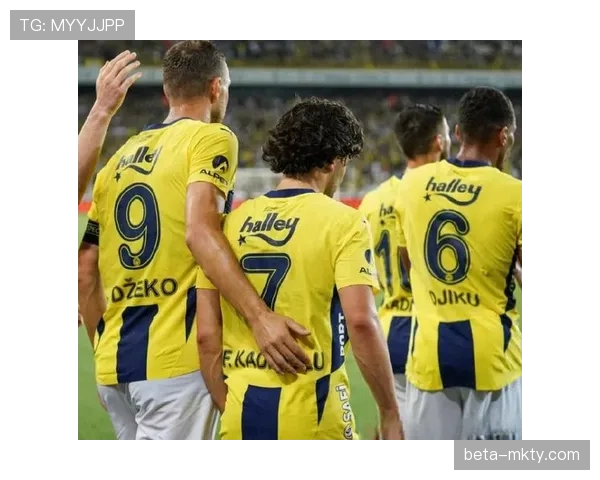 哈塔斯堡1比2不敌费内巴切 主场未能拿分